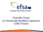 EFSA GMO panel